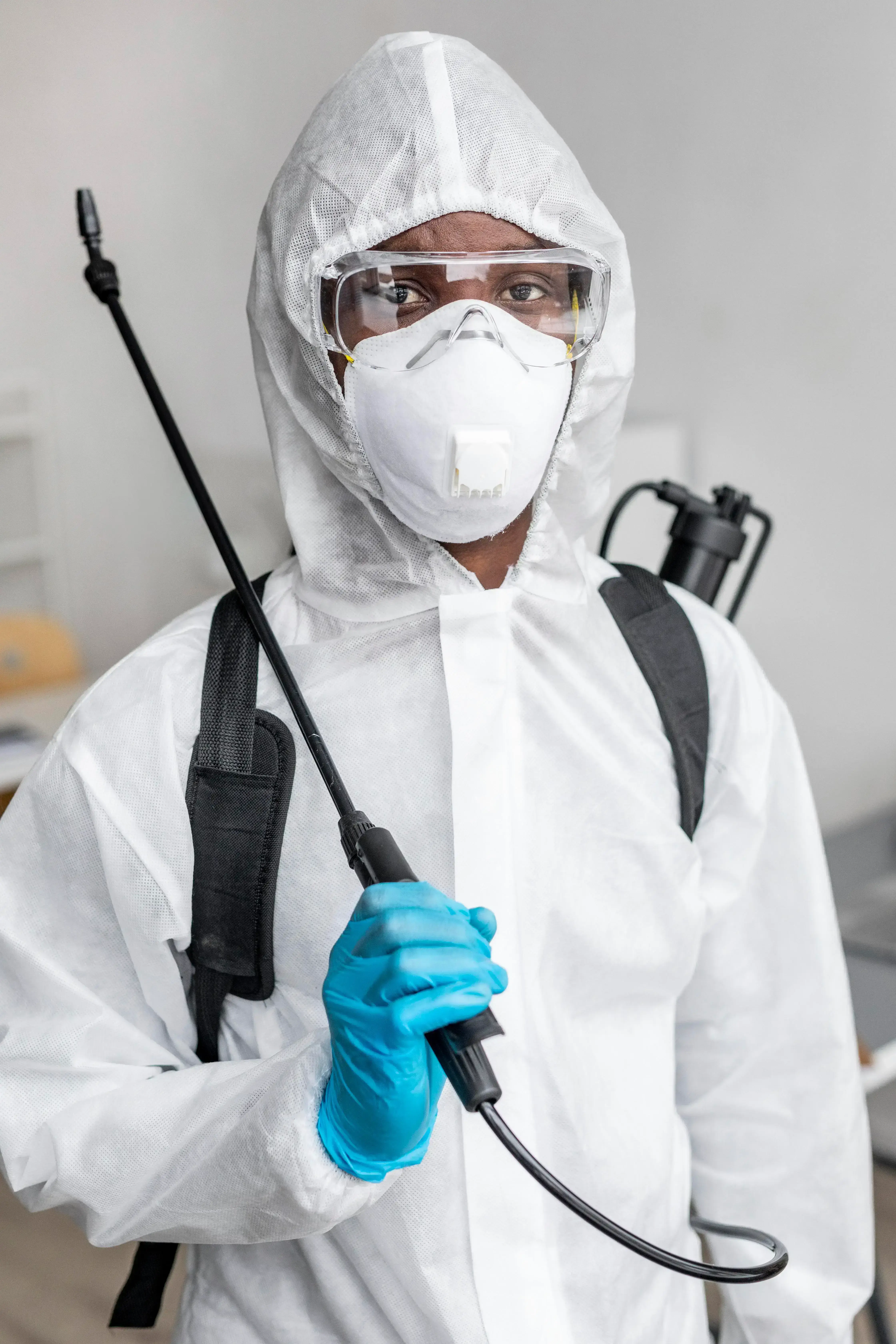 professional pest control services in ipswich
